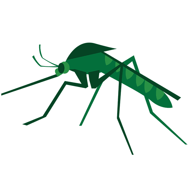 Mosquito Control Mosquito Control