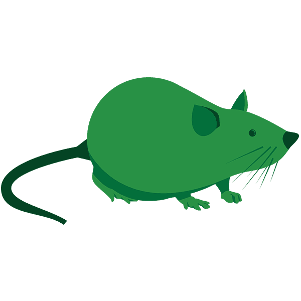 Rodent Control Rodent Control