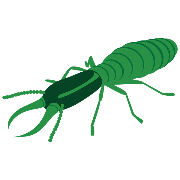 Termite Control Termite Control